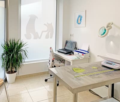 Coruvet, clínica veterinaria en A Coruña